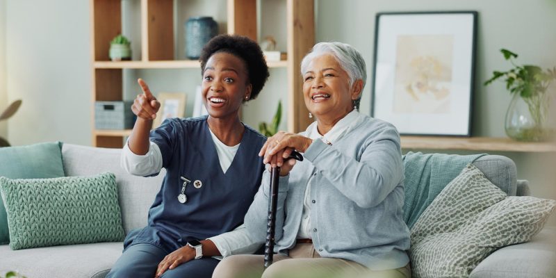 companionship quality & safeguading