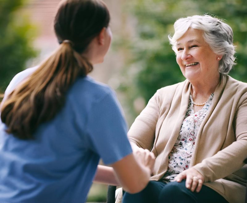 domestic support banner